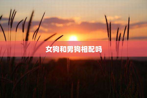女狗和男狗相配吗