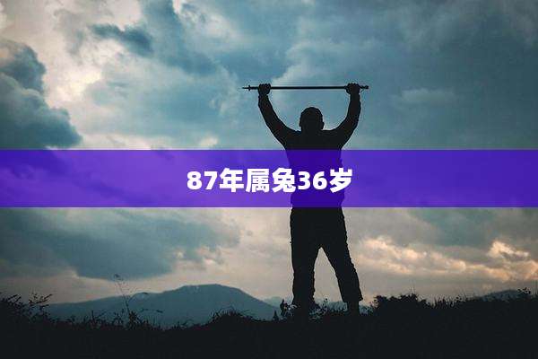 87年属兔36岁