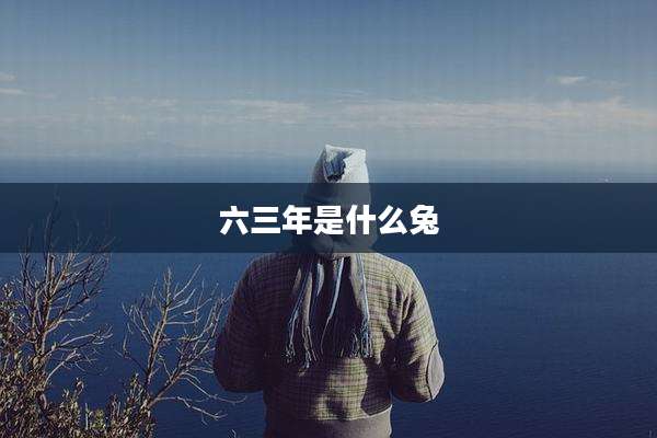 六三年是什么兔