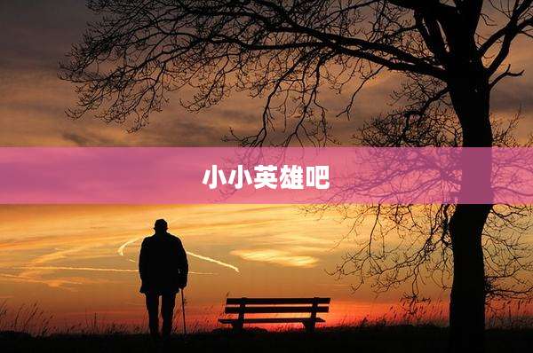 小小英雄吧