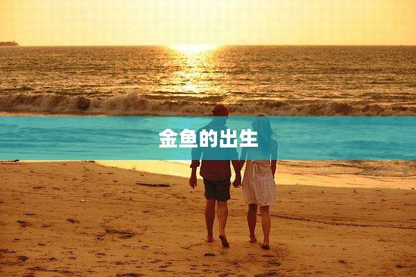 金鱼的出生