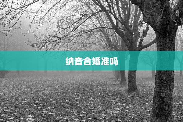 纳音合婚准吗