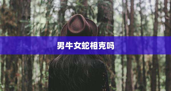 男牛女蛇相克吗