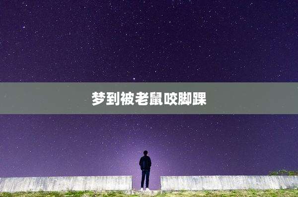 梦到被老鼠咬脚踝