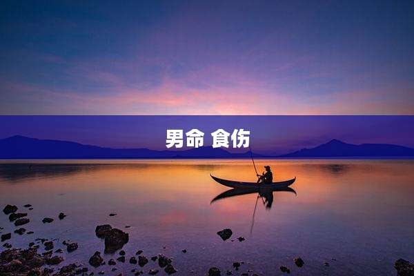 男命 食伤