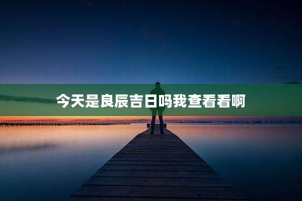 今天是良辰吉日吗我查看看啊