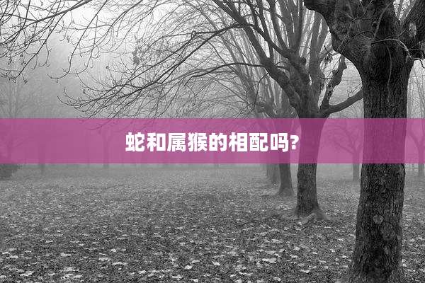 蛇和属猴的相配吗?
