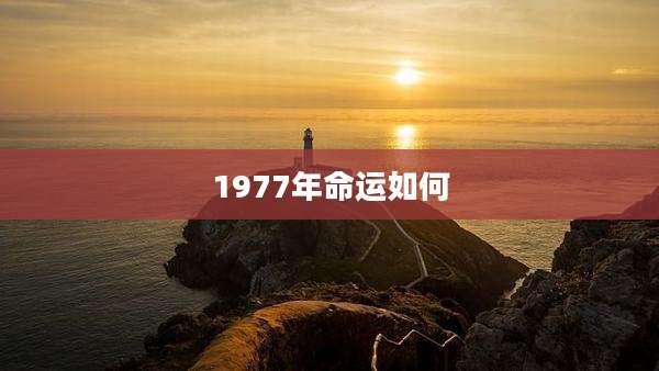 1977年命运如何