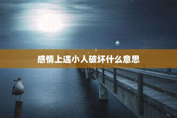 感情上遇小人破坏什么意思