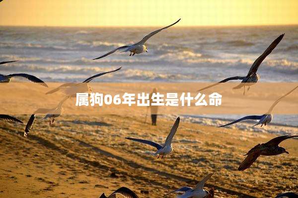 属狗06年出生是什么命