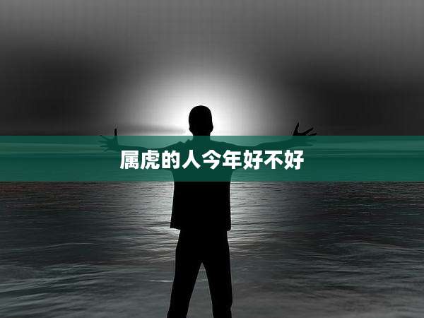 属虎的人今年好不好