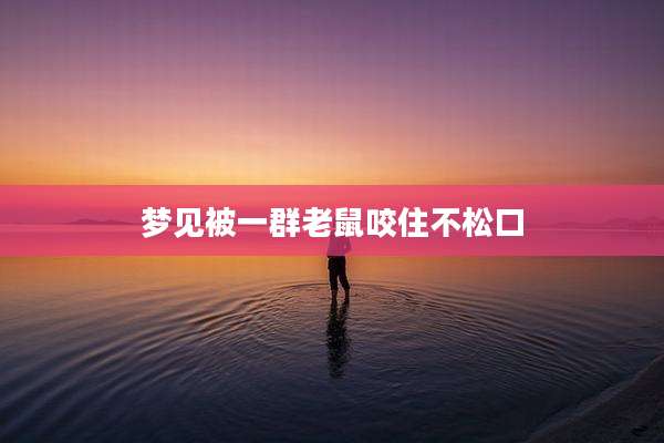 梦见被一群老鼠咬住不松口