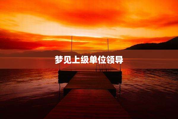 梦见上级单位领导