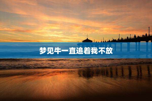 梦见牛一直追着我不放