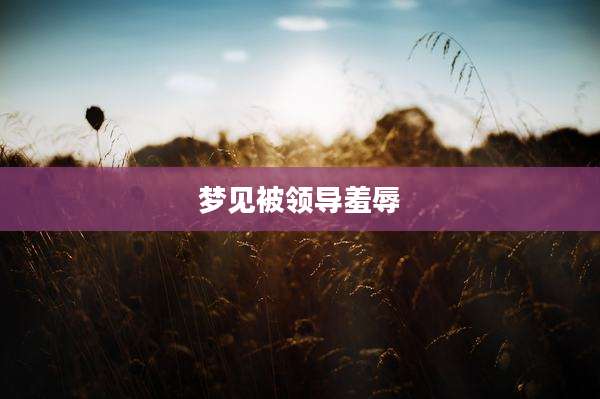 梦见被领导羞辱