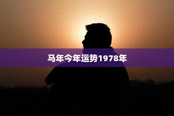 马年今年运势1978年