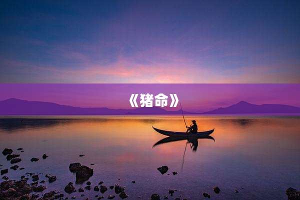 《猪命》