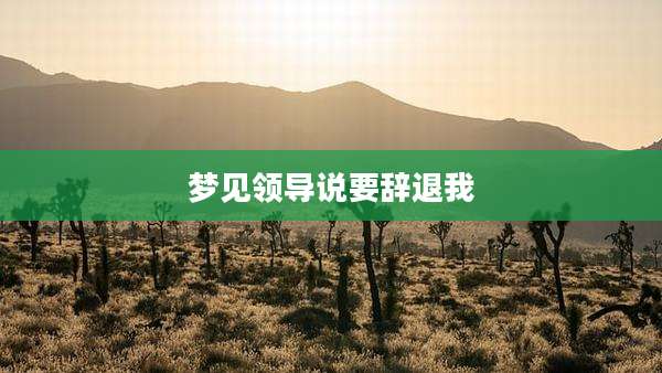 梦见领导说要辞退我
