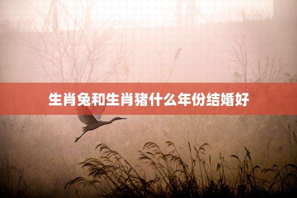 生肖兔和生肖猪什么年份结婚好