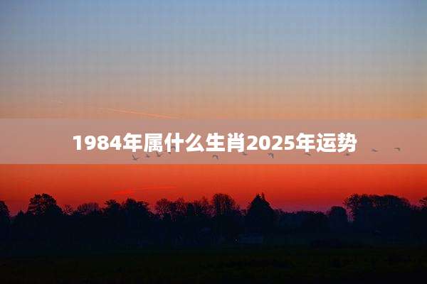 1984年属什么生肖2025年运势