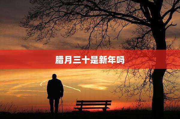 腊月三十是新年吗