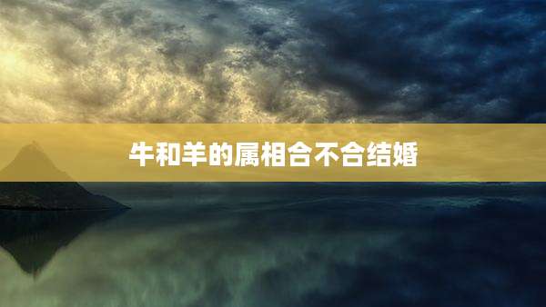 牛和羊的属相合不合结婚