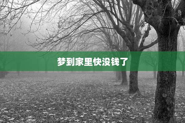梦到家里快没钱了