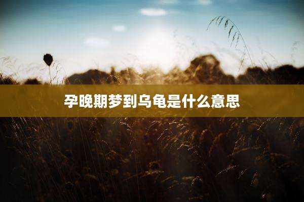 孕晚期梦到乌龟是什么意思