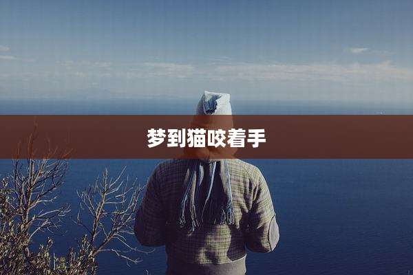 梦到猫咬着手