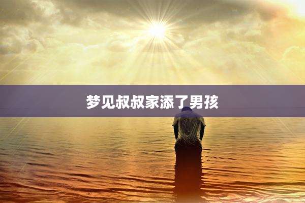 梦见叔叔家添了男孩