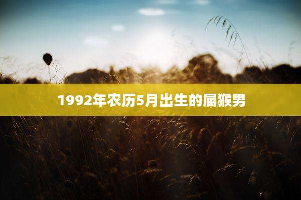 1992年农历5月出生的属猴男