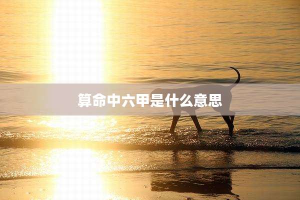 算命中六甲是什么意思