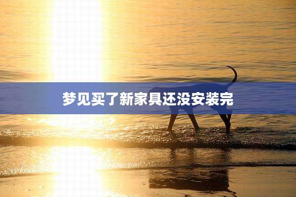 梦见买了新家具还没安装完