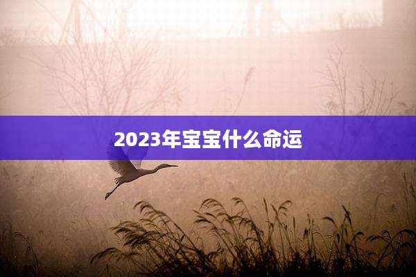 2023年宝宝什么命运