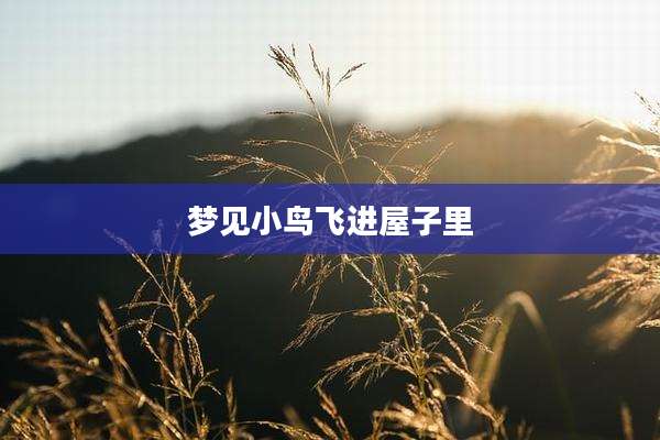 梦见小鸟飞进屋子里