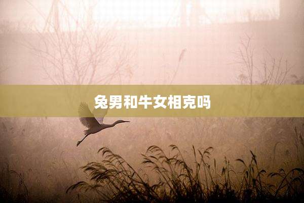 兔男和牛女相克吗