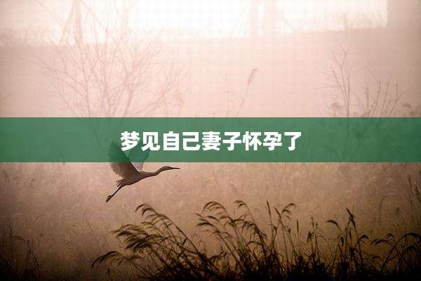 梦见自己妻子怀孕了