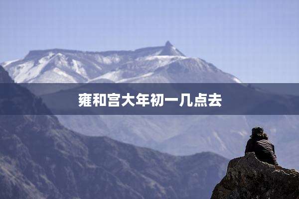 雍和宫大年初一几点去