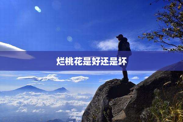 烂桃花是好还是坏