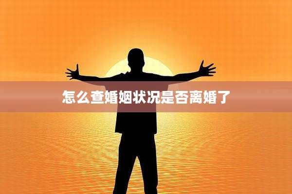 怎么查婚姻状况是否离婚了