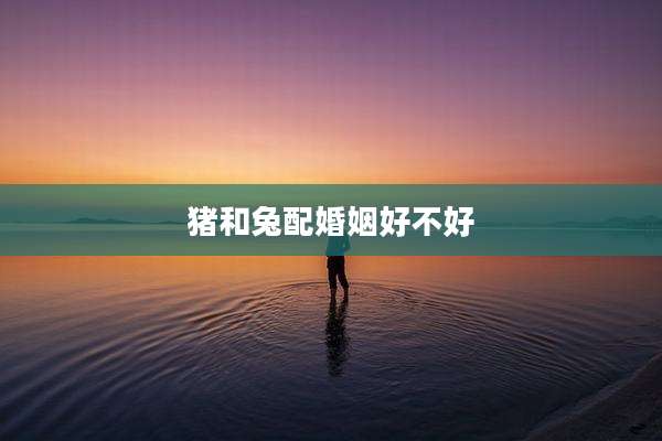 猪和兔配婚姻好不好