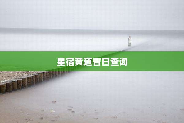 星宿黄道吉日查询