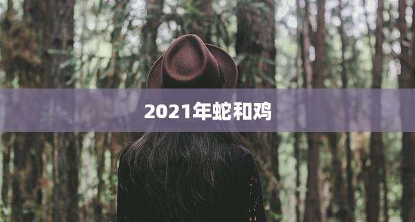 2021年蛇和鸡