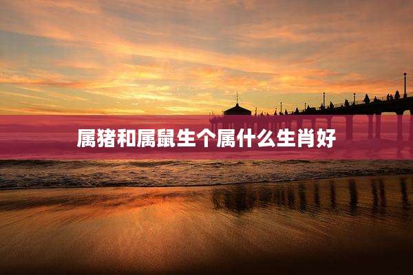 属猪和属鼠生个属什么生肖好