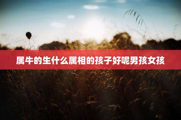属牛的生什么属相的孩子好呢男孩女孩