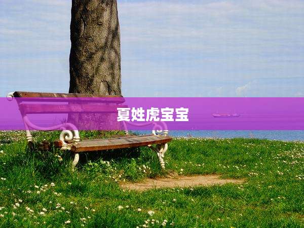 夏姓虎宝宝