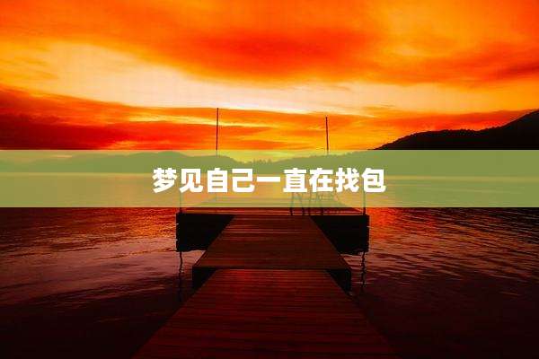 梦见自己一直在找包