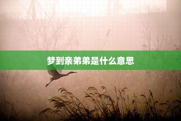 梦到亲弟弟是什么意思