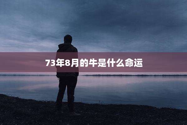 73年8月的牛是什么命运