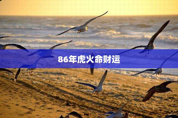 86年虎火命财运